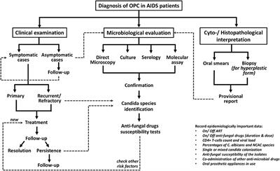 Oropharyngeal Candidosis in HIV-Infected Patients—An Update